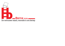 logo berna1