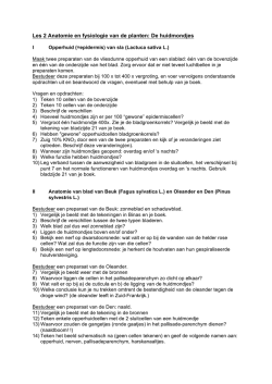 Practicum 2: Microscopie anatomie blad en huidmondjes