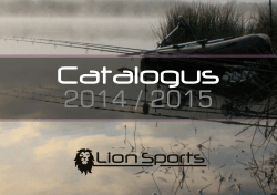 Untitled - Lion Sports