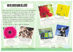 IN DE HI\S Il&acirc;N 2U.ES!