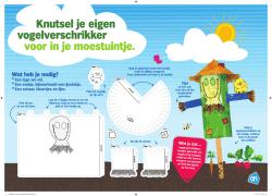 Een schaar, kleurtjes en lijm. Knutsel je eigen vogelverschrikker