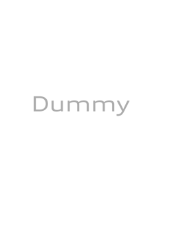 Dummy - Audi