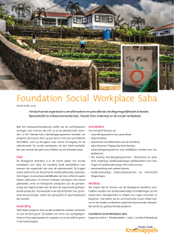 Foundation Social Workplace Saba