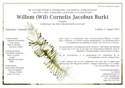 Willem (Wil) Cornelis Jacobus Burki