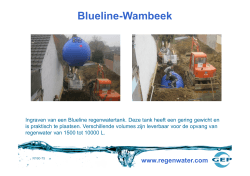 Blueline-Wambeek