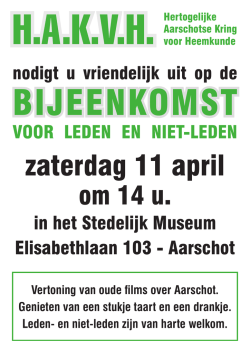 in het Stedelijk Museum Elisabethlaan 103 - Aarschot