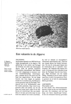 Een vakantie in de Algarve