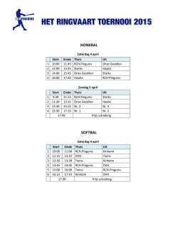 HONKBAL SOFTBAL - RCH