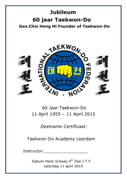 Jubileum 60 jaar Taekwon-Do - taekwon