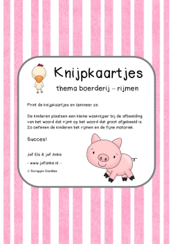 de knijpkaartjes `rijmen`