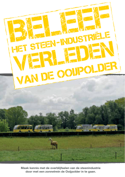 VSN Flyer - Stichting Van Steen en Natuur