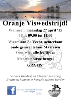 hsvm oranje wedstrijd poster 2015
