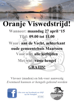 hsvm oranje wedstrijd poster 2015