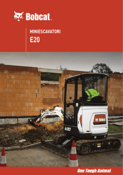 Bobcat E20 | Caratteristische Tecnishe