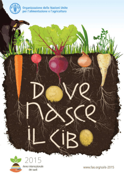 Dove Nasce il Cibo