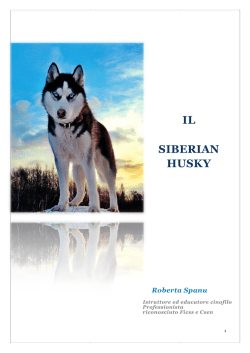Dossier Siberian husky - Dog`sAreA Educatore cinofilo