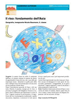 Il riso: fondamento dell`Asia - italia e svizzera verso l`expo 2015