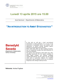 "An introduction to ambit stochastics"