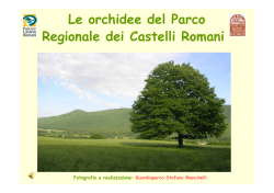 Le orchidee del Parco l d ll Regionale dei Castelli Romani