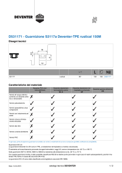 D531171 - Guarnizione S3117a Deventer-TPE rustical