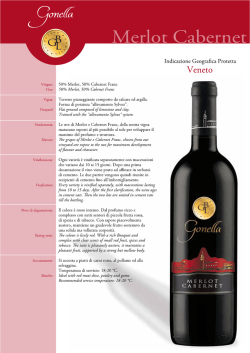 MERLOT CABERNET - Baldovino Gonella