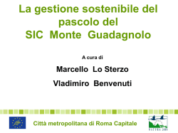 Il-piano-di-pascolo-sul-SIC-Monte-Guadagnolo_Lo