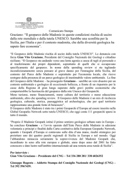 Il Comunicato Stampa in formato pdf