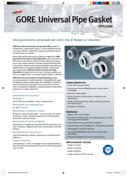 GORE Guarnizione Universale per Flange (Style 800)