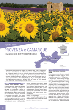 PROVENZA e CAMARGUE
