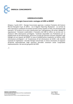 Leggi il documento - Energia Concorrente