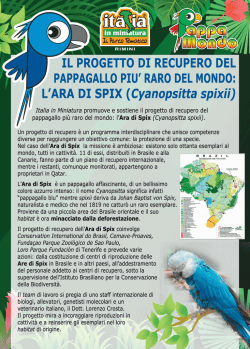 IL PRETTO DI RECUPERO DEL PAPPAGALLO