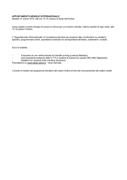 Programma dei lavori