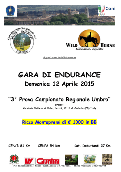 GARA DI ENDURANCE - enduranceonline.it