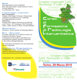 GiornateGISE 28marzo2015 - TSRM Torino