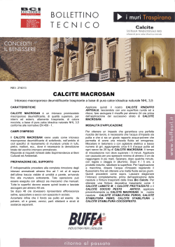 CALCITE MACROSAN.pdf