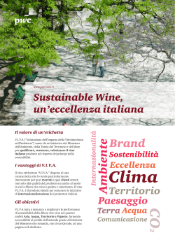Sustainable Wine, un`eccellenza italiana