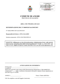 DSG-00409-2015-doc-frontespizio