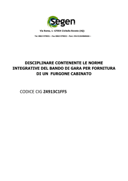 Disciplinare di Gara