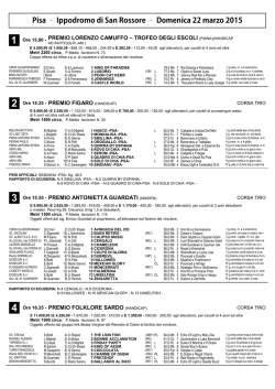 Il programma in formato .pdf