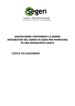 Disciplinare di Gara