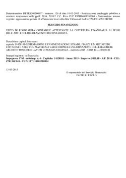 Determinazione DETRS201500107 - numero: 126 di data 10