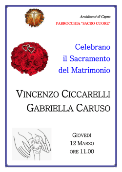 vincenzo ciccarelli gabriella caruso