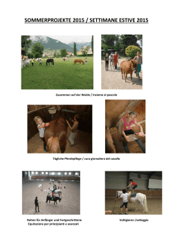 sommerprojekt 2015 - Centro Equestre Merano