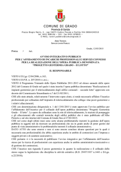 Avviso pubblico collaudo rev 2