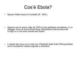 Cos`è Ebola?