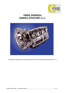 - CAMPANIA AUTORICAMBI