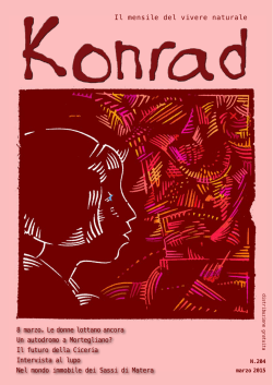 Konrad 204