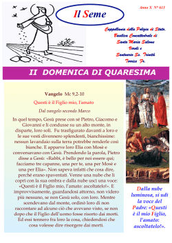 Il Seme - Basilicadisantamariasalome