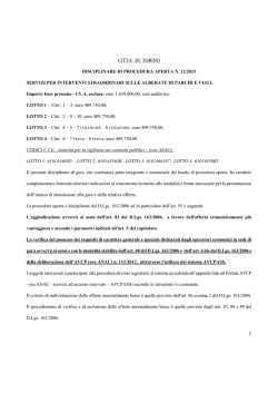 Disciplinare di gara