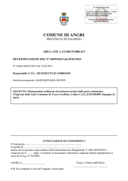 DSG-00299-2015-doc-frontespizio